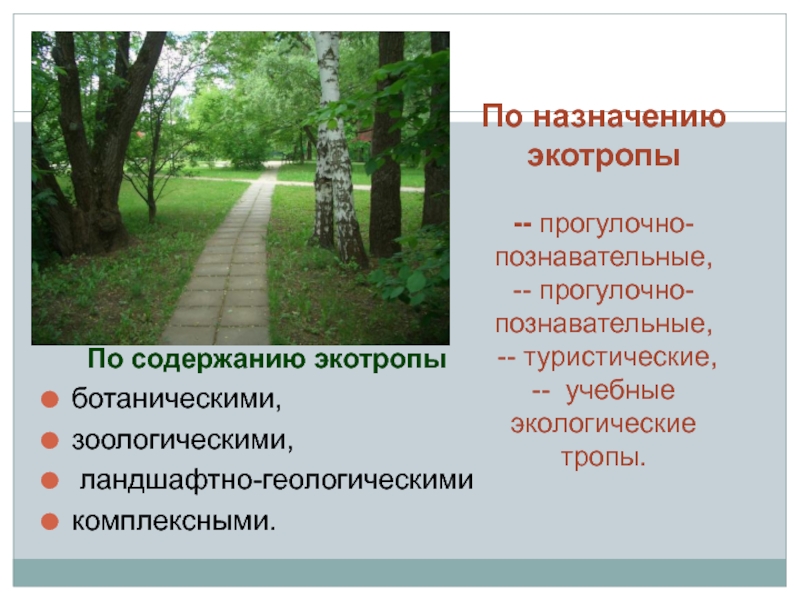 Название тропа. Названия экологических троп. Название экологического маршрута. Экотропа презентация. Познавательно-прогулочные тропы.