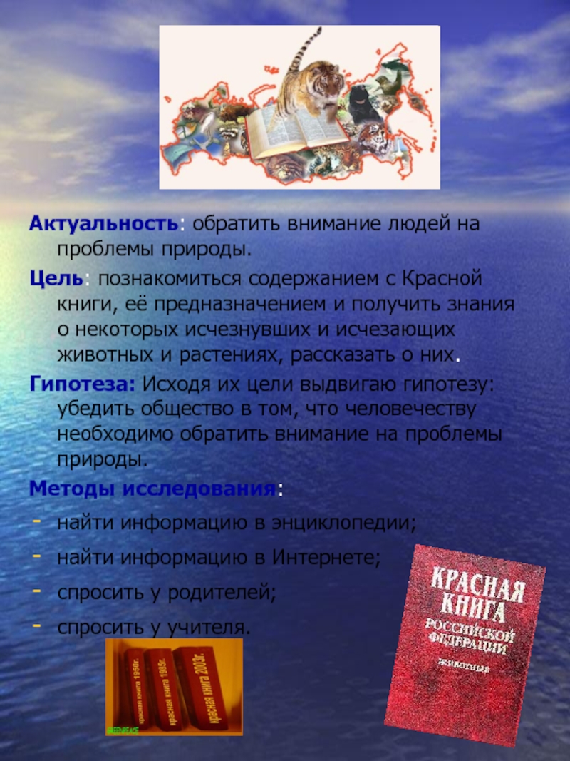 Вывод проекта красная книга