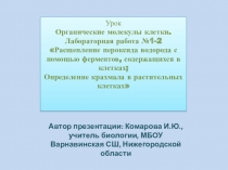 Презентация Лабораторная работа №1-2 Расщепление пероксида водорода с помощью ферментов, содержащихся в клетках; Определение крахмала в растительных клетках