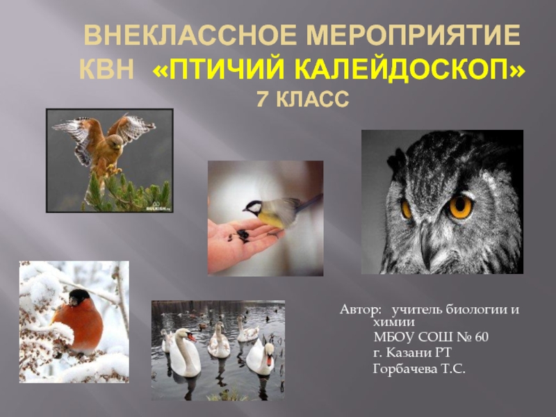 Презентация Презентация внеклассное мероприятие Птичий калейдоскоп