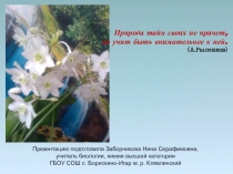 Презентация по биологии к уроку на тему И Здравствуй! скажем, каждому цветку (6 класс)