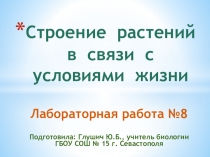 Презентация к лабораторной работе № 8 Строение растений в связи с условиями жизни (9 класс)
