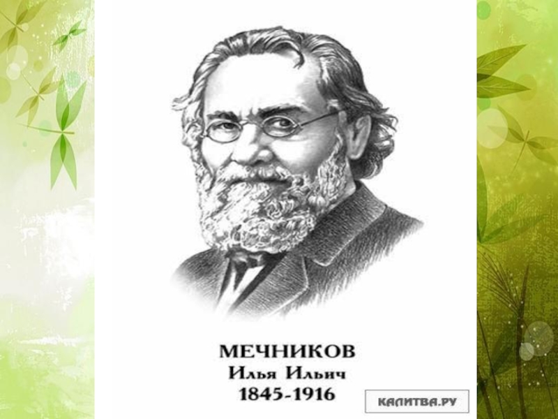 Сайт мечников владивосток. Илья Ильич Мечников портрет. Мечников Илья Ильич 1883. Мечников Илья Ильич лауреат. Илья Мечников молодой.