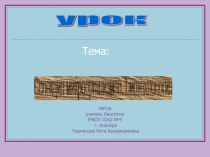 Презентация к уроку на тему Селекция микроорганизмов