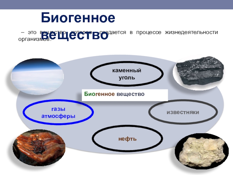 Нефть вещество биосферы. Биогенное вещество биосферы. Компоненты биогенные вещества. Каменный уголь биогенное.