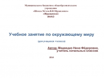 Презентация к учебному занятию на тему Права человека в обществе