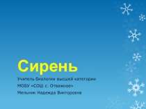 Презентация по биологии на тему Селекция растений. Сирень