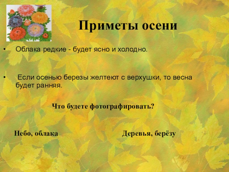 Примет осени. Приметы осени. Привет, осень!. Приметы на тему осень. Приметы осени для школьников.