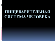 Презентация Пищеварительная система человека