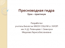 Презентация урока Пресноводная гидра 7 класс