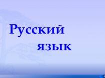 Презентация по русскому языку (2класс)