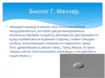 Презентация по биологии. Бесполое размножение.