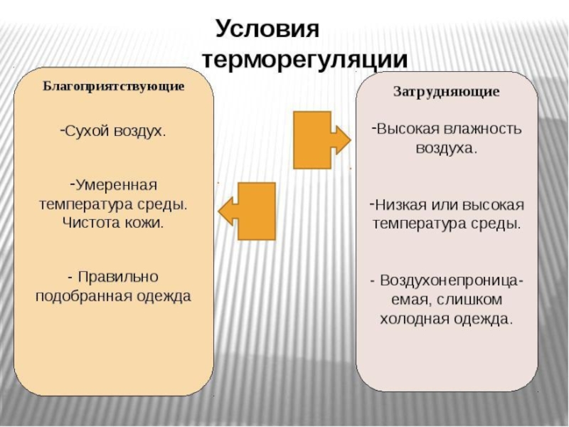 Презентация 8 класс роль кожи в терморегуляции организма 8 класс