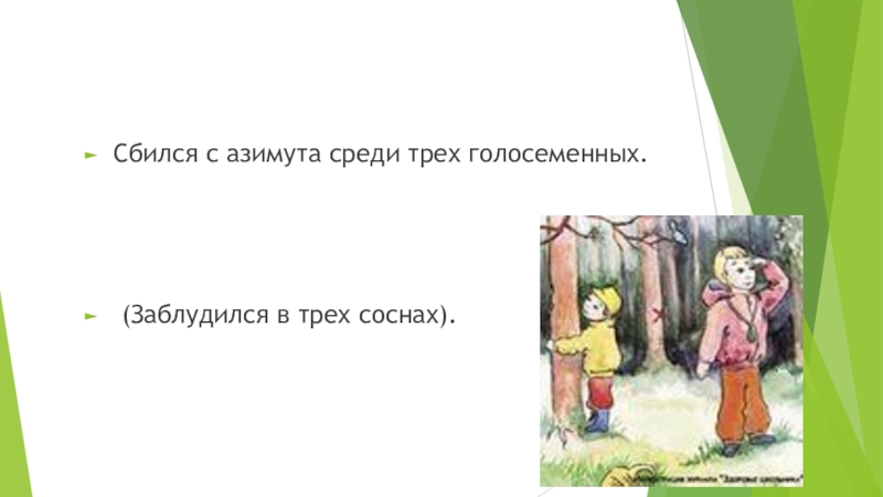 Среди трех. Фразеологизм заблудиться в трех соснах. Заблудиться в трех соснах значение фразеологизма. Заблудиться в 3 соснах. Заблудиться в 3 соснах фразеологизм.