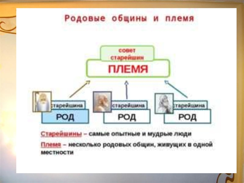 Дополни схему род племя