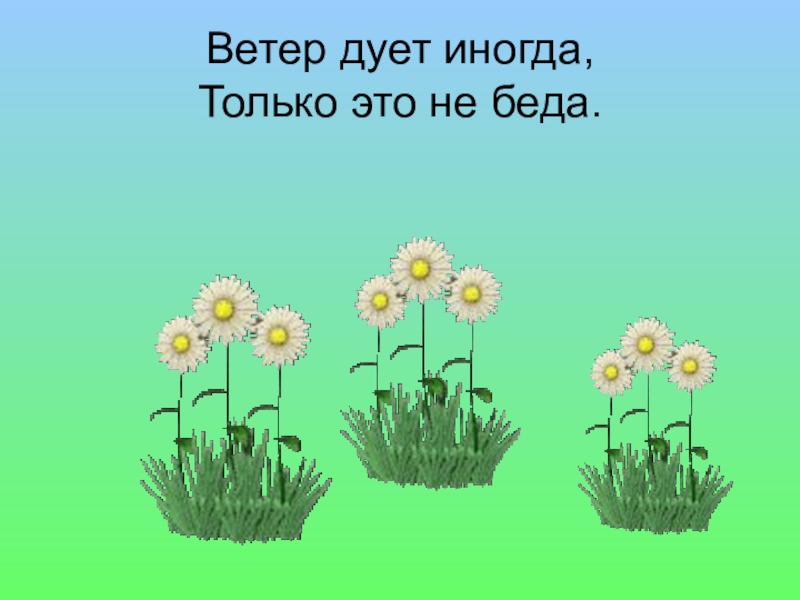 На лугу растут цветы. Физминутка на лугу растут цветы. На лугу растут цветы небывалой красоты физкультминутка. Физминутка цветы на лугу. Физминутка для детей на лугу растут цветы.