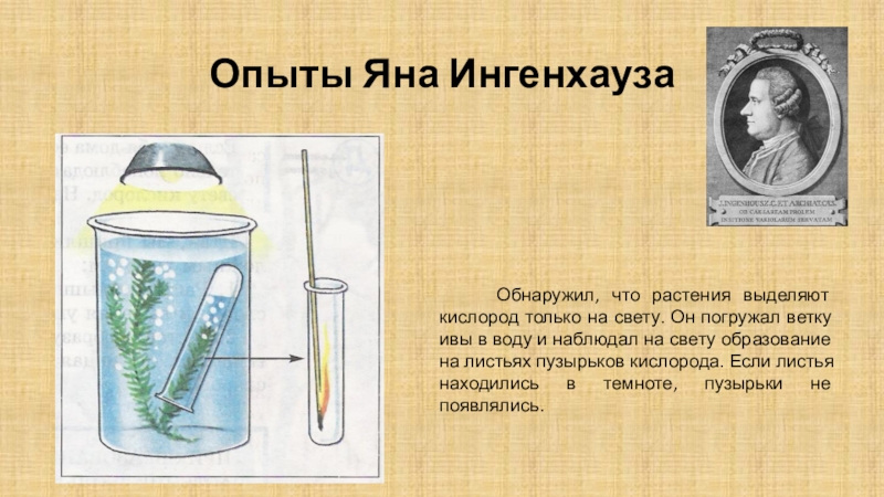 Схема влияние углекислого газа на выделение кислорода водными растениями