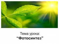 Презентация по биологии на тему Фотосинтез- воздушное питание растений