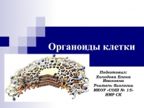 Презентация по биологии Органоиды клетки