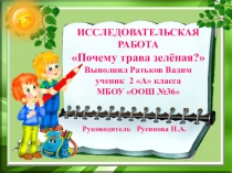 Презентация к исследовательской работе Почему трава зелёная?