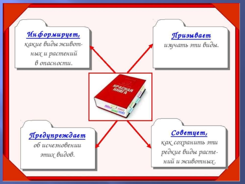 Готовый проект по окружающему миру 2 класс красная книга