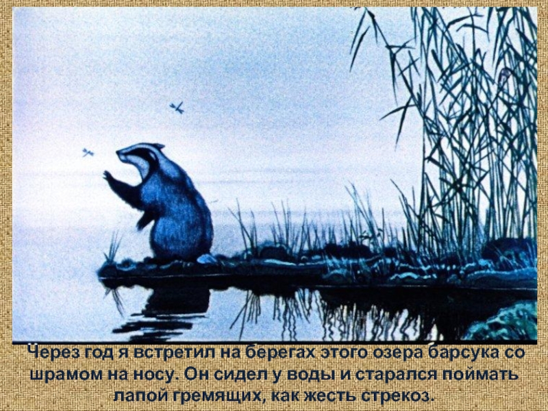 Рисунок барсучий нос легкий