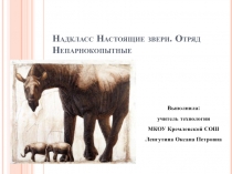Надкласс Настоящие звери