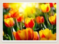 Презентация к уроку математики по теме  Сложение и вычитание многозначных чисел