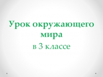 Презентация к уроку Лес и его обитатели 3 класс