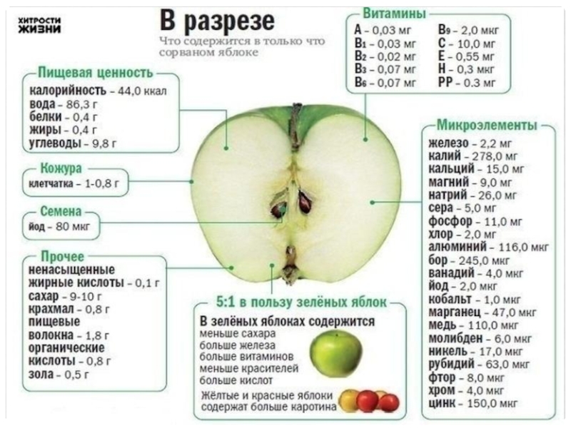 Сколько яблок в холодильнике. Сколько железа в яблоке. Яблоко новый урожай калорийность. Витамины в яблоке 1 класс. Сколько железа в яблочном соке.