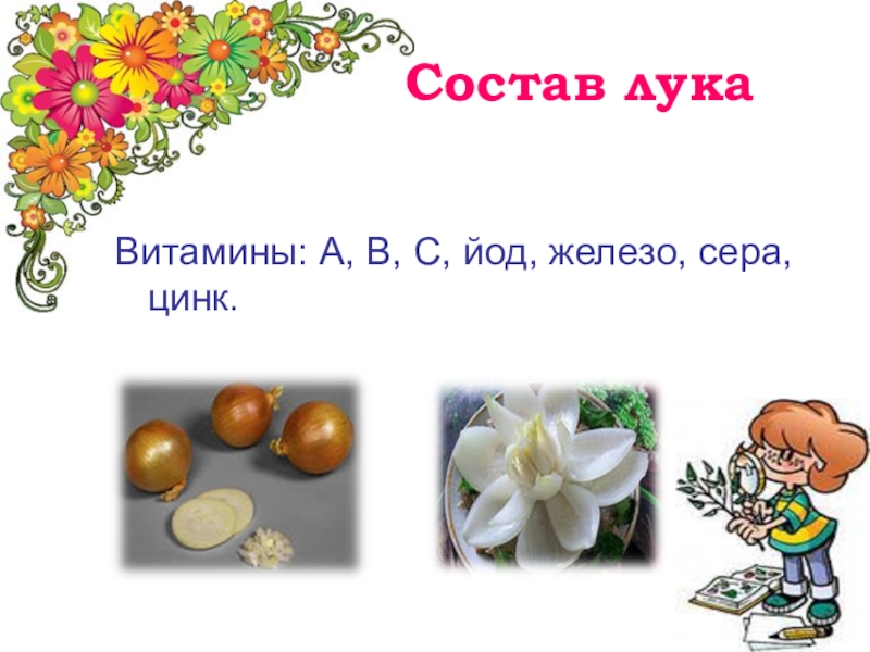 Лук состав