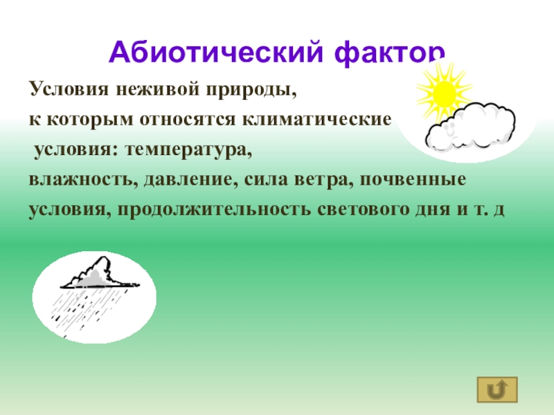 Особенности природы условия неживой природы живые существа. Условия природы. Условие не живой природы. Условия живой природы. Условия неживой природы в лесах.