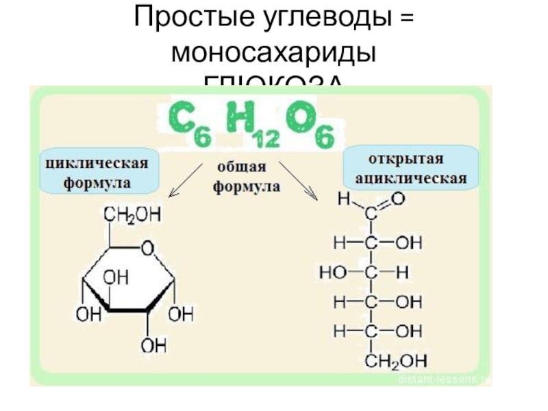 Энергетическая функция моносахаридов. Строение углеводов формула. Углеводы структурная формула. Формула углеводов биология. Строение молекул простых и сложных углеводов.