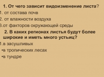 Презентация по биологии на тему Строение стебля
