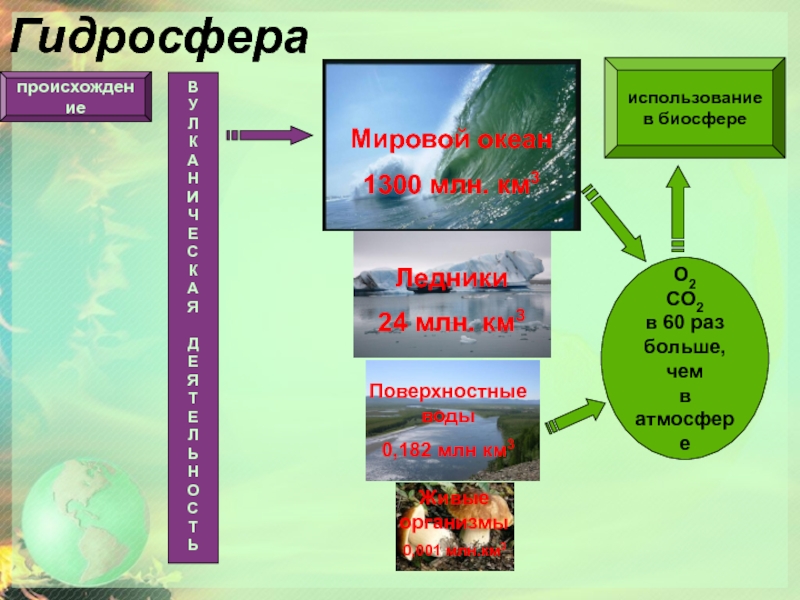 Структура биосферы презентация