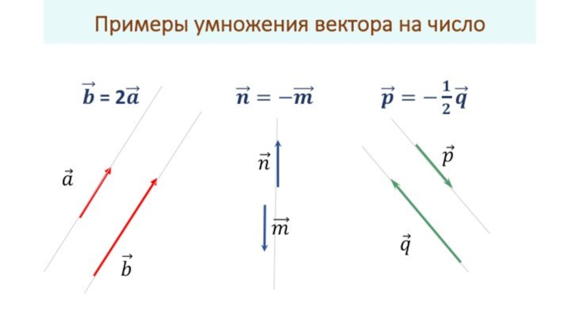 Умножение вектора на число 9 класс презентация атанасян