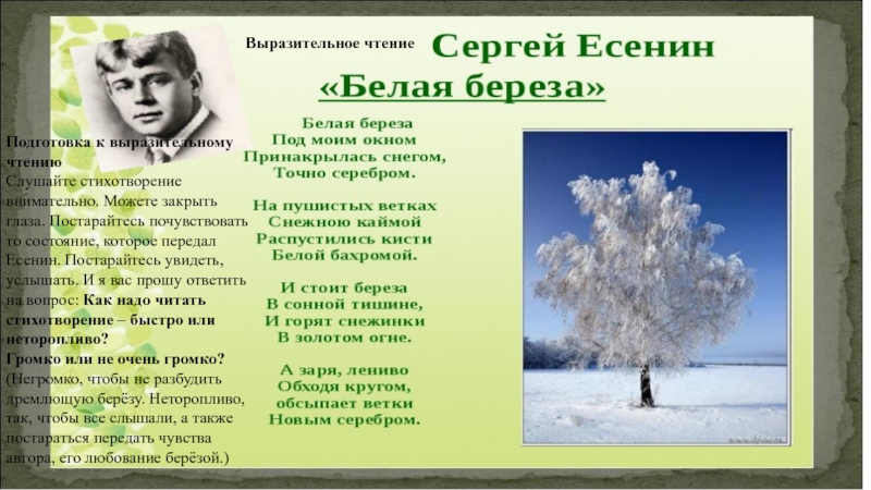 Есенин белая береза презентация 2 класс школа россии