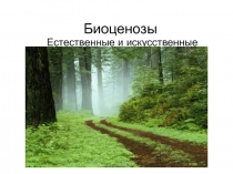 Естественные и искусственные биогеоценозы