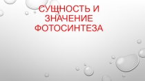Сущность и значение фотосинтеза