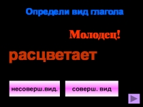 Тренажер по русскому языку Вид глагола