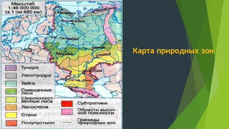 Природные зоны района поволжье. Природные зоны Восточно европейской равнины на карте. Природные зоны Поволжья карта. Карта природных зон европейской части России. Природные зоны Восточно европейской равнины.