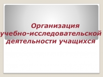 Научно-исследовательская работа в школе