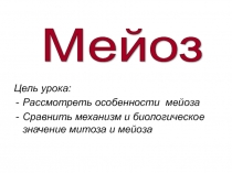 Презентация по биологии на тему Мейоз