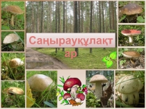 Саңырауқұлақтар жайлы қызықты мәлімет