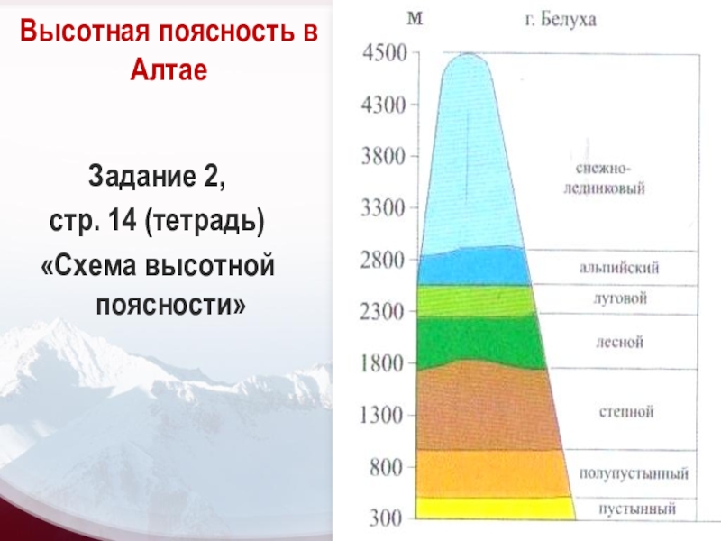 Высота азии над уровнем моря составляет. Схема ВЫСОТНОЙ поясности Алтая. Высотная поясность Алтая г. Белуха. Высотная поясность горы Эльбрус. Алтайские горы схема ВЫСОТНОЙ поясности.