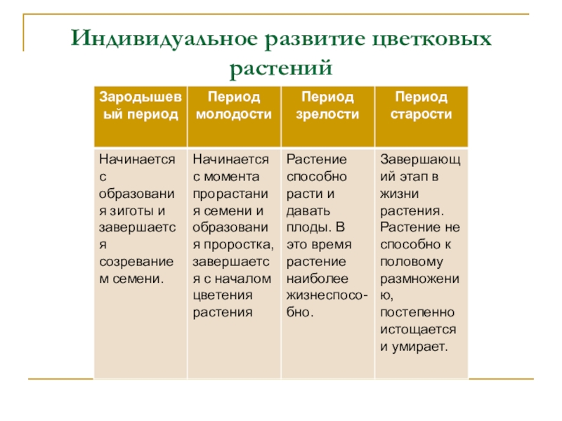 Онтогенез растений презентация