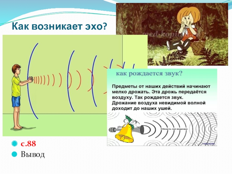 Прикольные картинки эхо