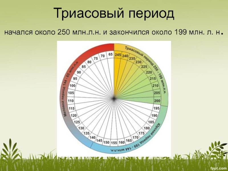 Период начинается. С какого периода начинается день.