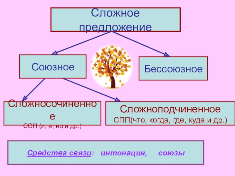 Средства связи интонация. Союзные и Бессоюзные сложные предложения. Сложноподчиненное сложносочиненное и Бессоюзное предложение. Интонация и Союзная связь.