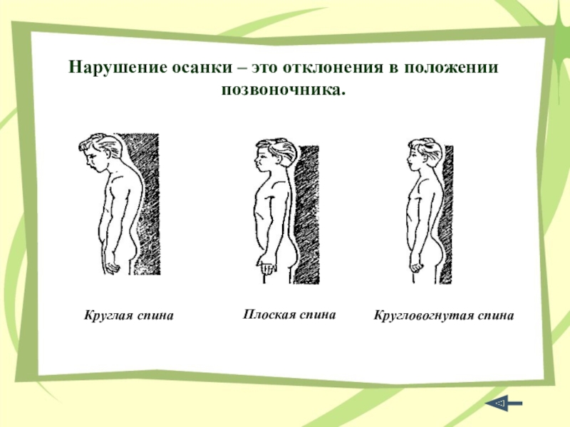 Правильная осанка залог здоровья проект 9 класс